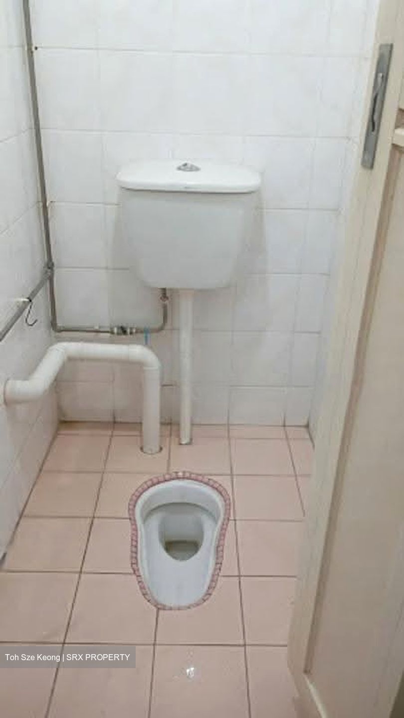 Blk 169 Toa Payoh Green (Toa Payoh), HDB 3 Rooms #633748461